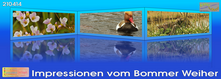 210414 01 BilderRAHMEN 3D.png